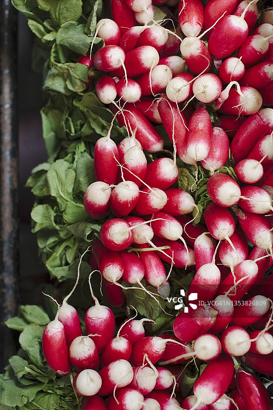 成捆的萝卜图片素材