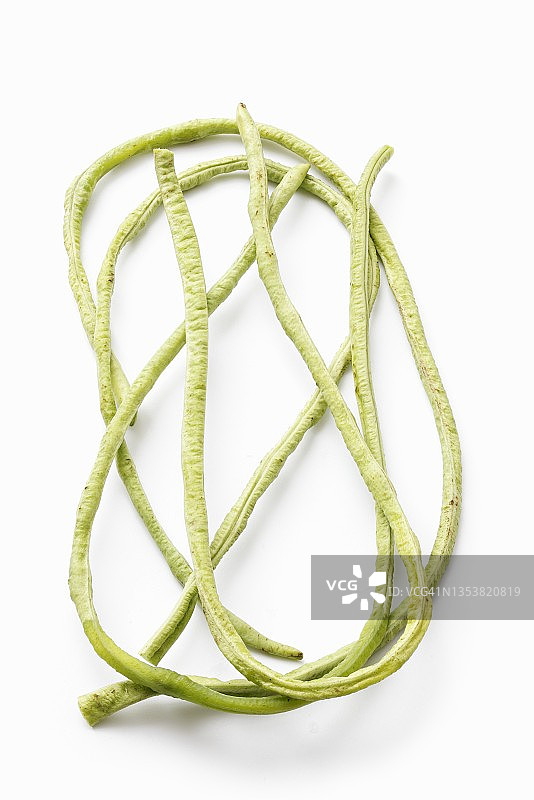 东方豇豆图片素材