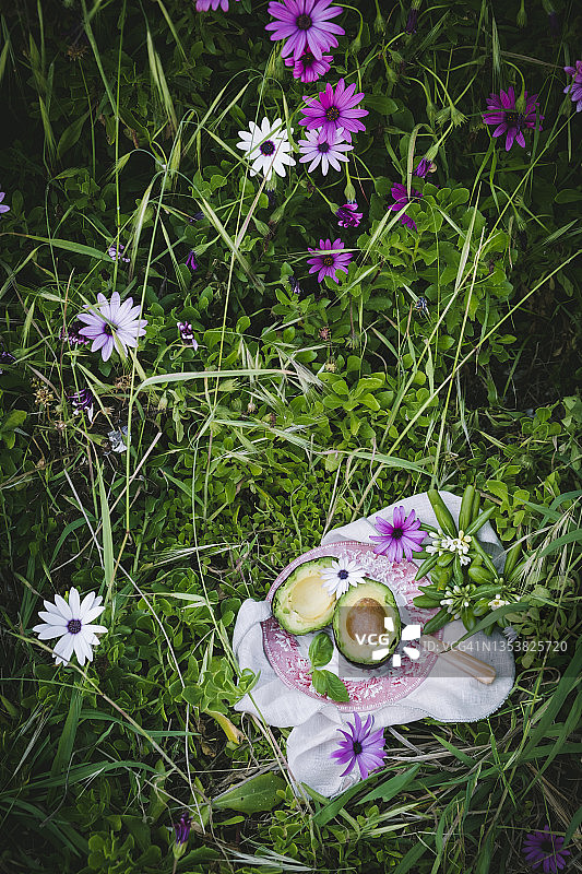 草地和粉色鲜花中，粉白色盘子里的两片牛油果图片素材