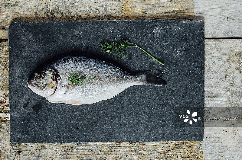 整条海鲷鱼图片素材