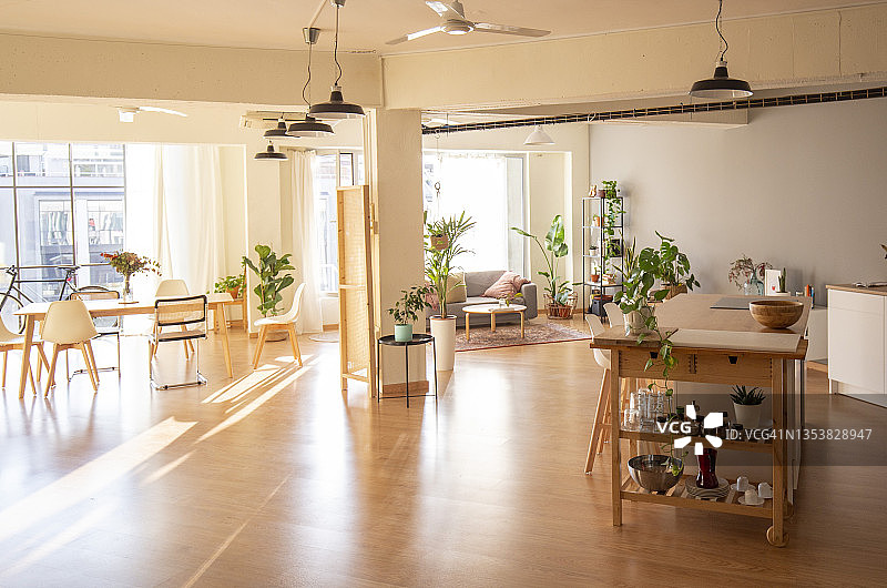 阁楼宽敞的开放式公寓，配有镶木地板和木制家具图片素材