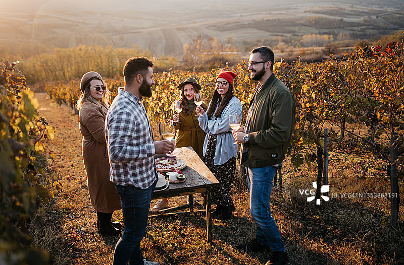 葡萄园葡萄酒展示图片素材