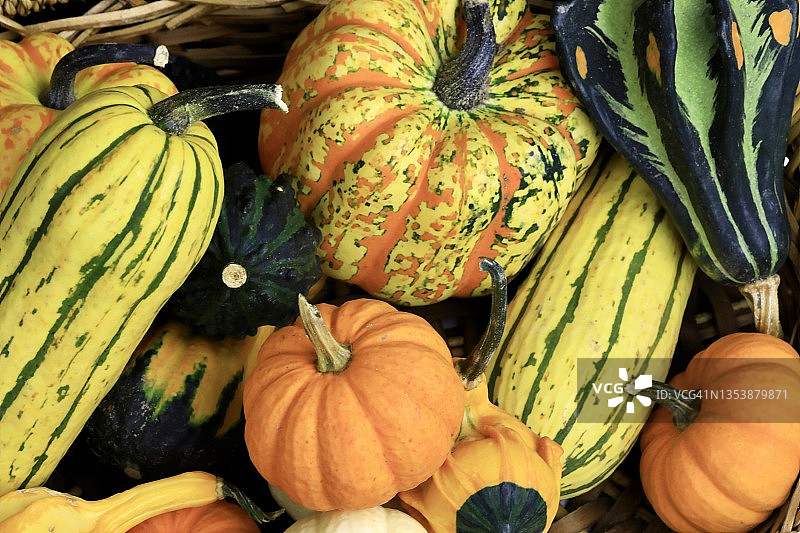 什锦时令葫芦，全画幅图片素材