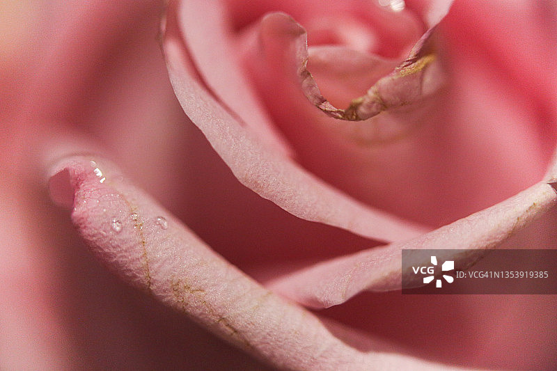 粉色滴落效果图片素材