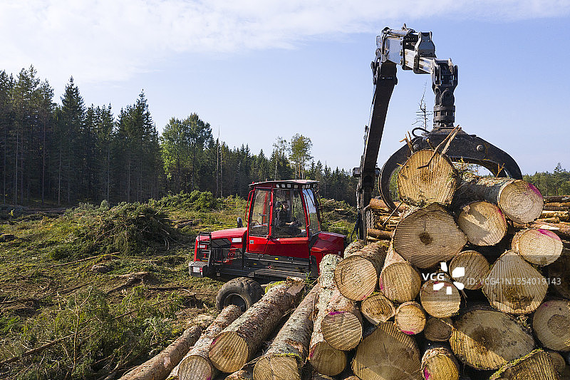在森林边缘堆放原木图片素材