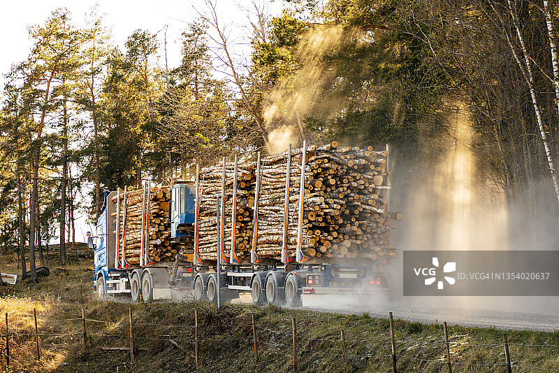 森林中装载原木的卡车图片素材