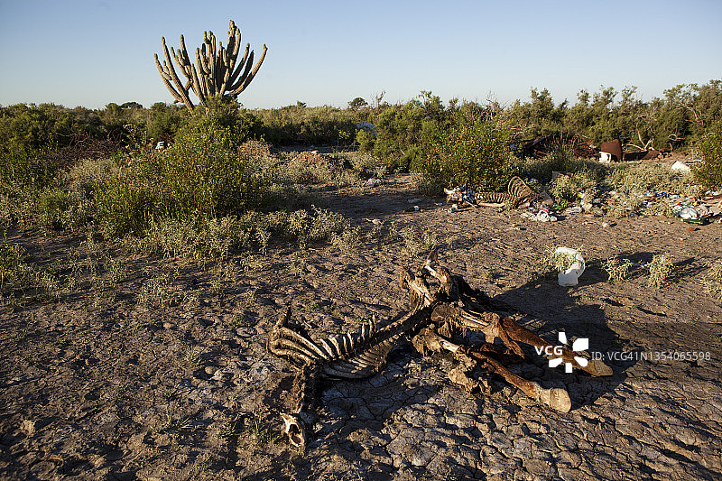 气候危机与生态灾难图片素材
