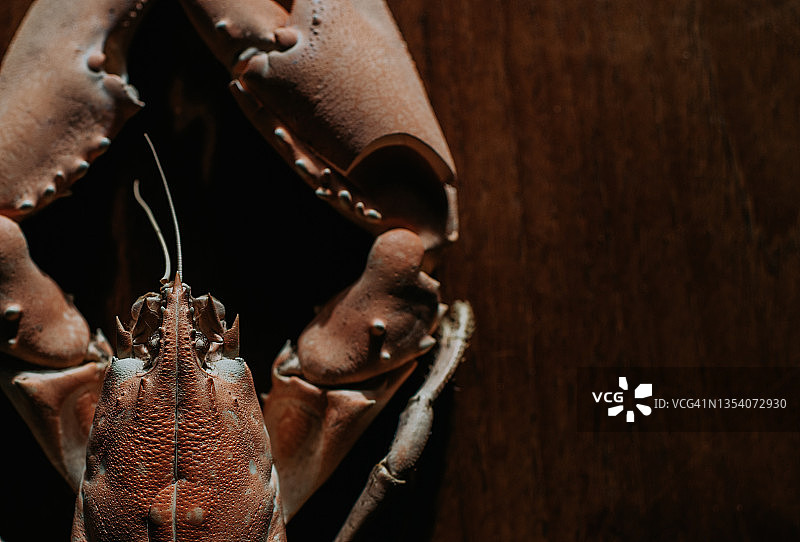 龙虾头部特写：展现自然纹理和色彩图片素材