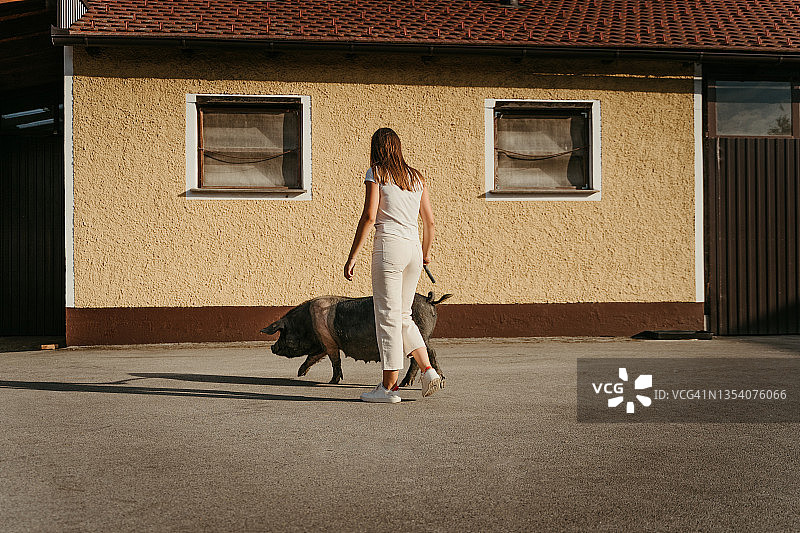 少女在路上放猪图片素材