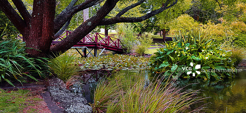 澳大利亚维多利亚州汉密尔顿历史植物园图片素材