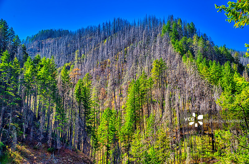 鹰溪火灾几年后的损坏情况图片素材