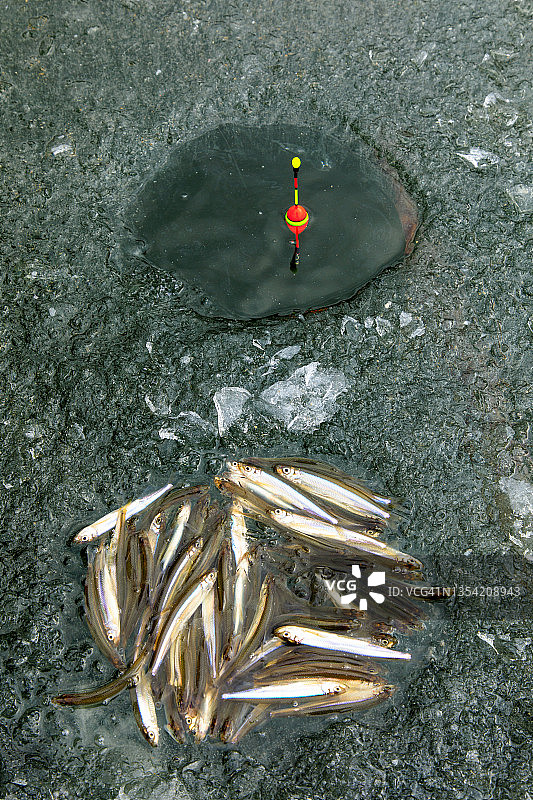 韩国镇川白谷湖钓公鱼图片素材