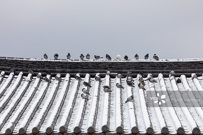 韩国南山谷韩屋村的冬季景观图片素材