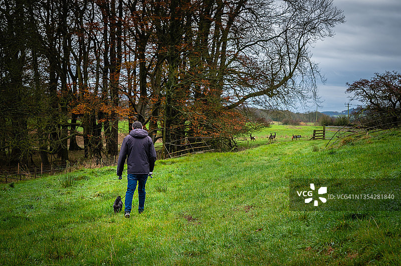 年轻男人在农田里遛狗图片素材
