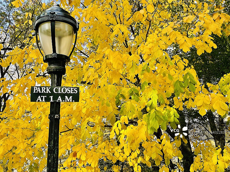 河滨公园图片素材