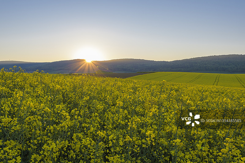 春季油菜花田上的日出图片素材