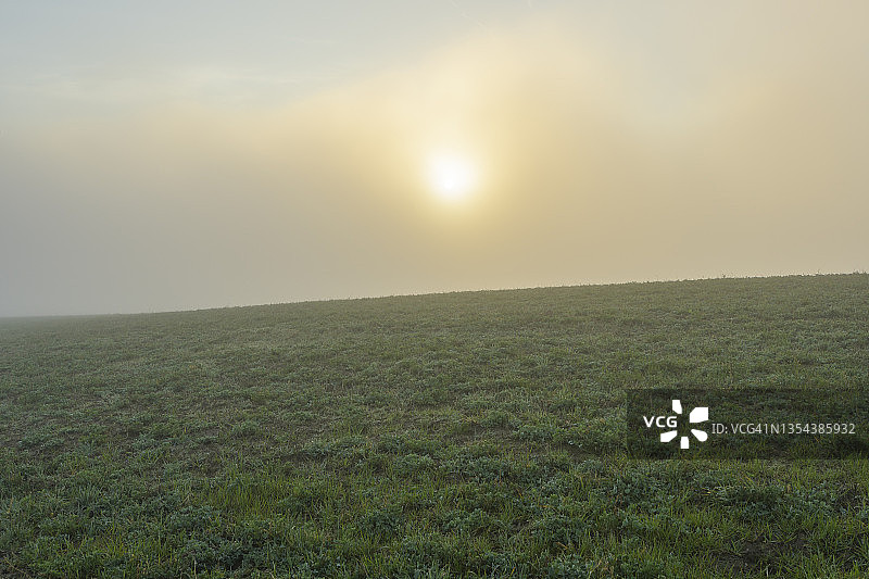 日出时有雾的草地图片素材