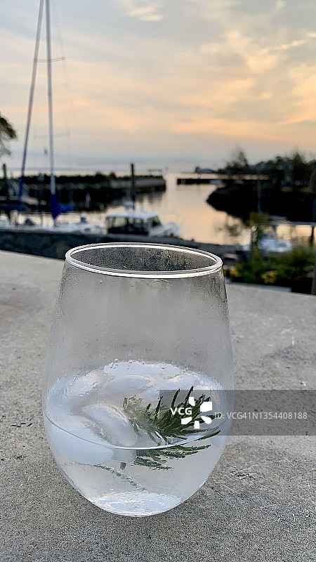 杜松子酒与迷迭香图片素材