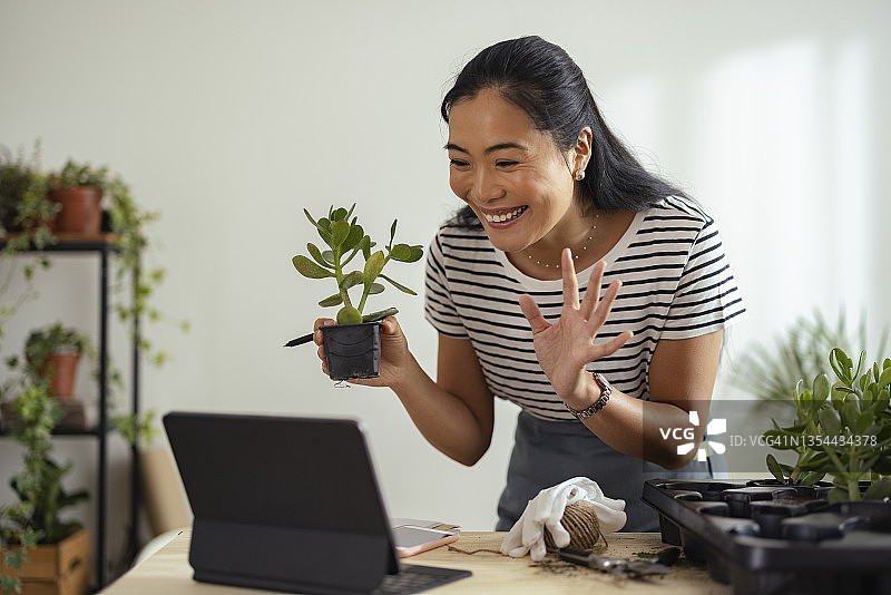快乐的女园丁在她的花店里用平板电脑进行视频通话图片素材