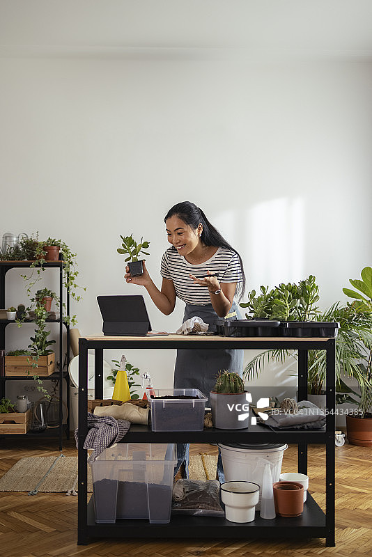 快乐的女园丁在花店里用平板电脑进行视频通话图片素材