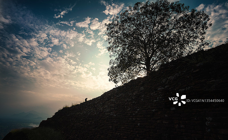 猴子坐在斯里兰卡锡吉里耶狮子岩遗址上图片素材