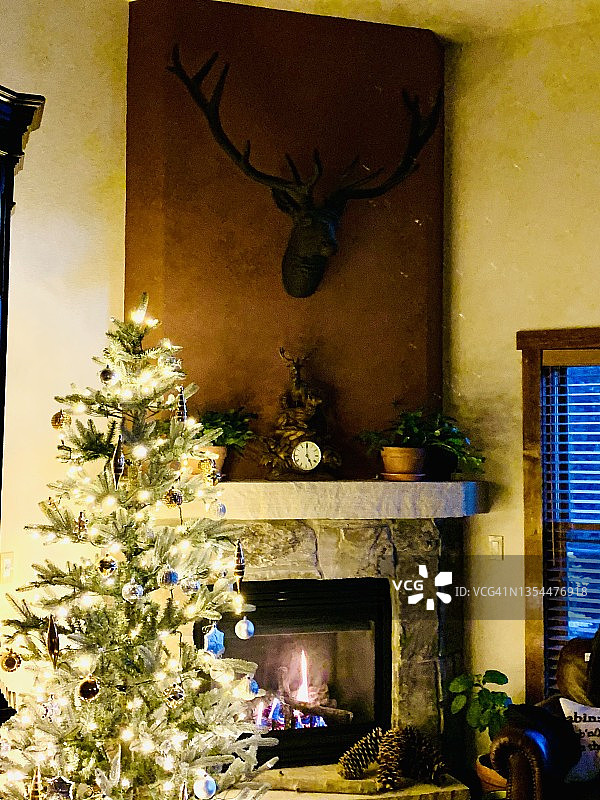 壁炉和圣诞树图片素材