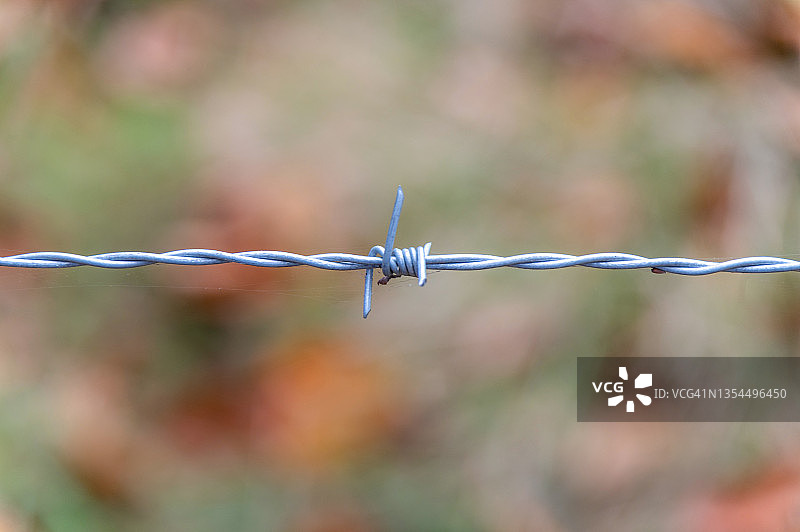 带刺铁丝网局部特写图片素材