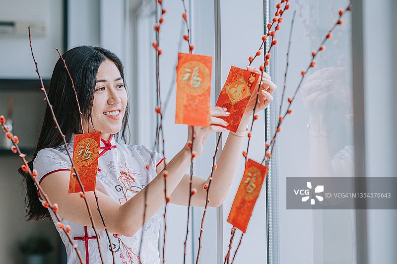 中国新年，美丽女人用银柳和红包装饰客厅，为家庭团聚做准备图片素材