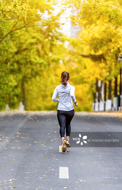 在银杏树下的城市道路上跑步的女人图片素材