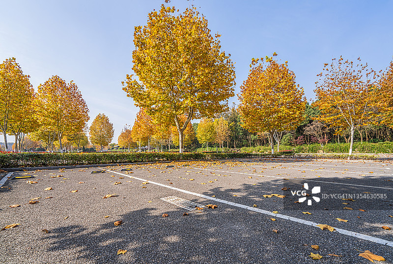 秋季空旷的停车场图片素材