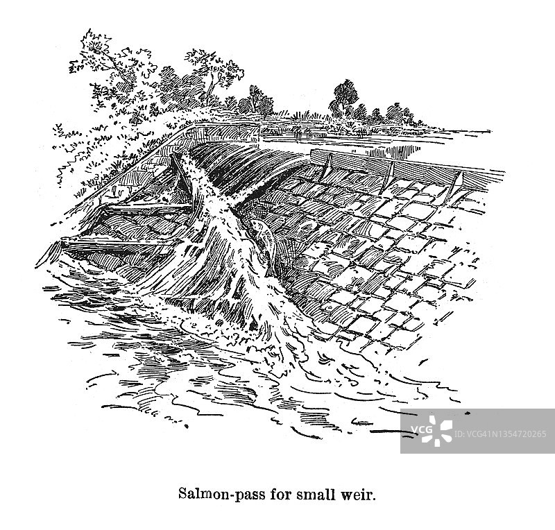 鱼类养殖：小型堰坝的鲑鱼通道古老雕刻插图图片素材