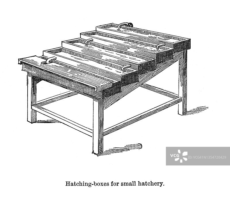 老式雕刻插图：养鱼业——小型孵化场的孵化箱图片素材