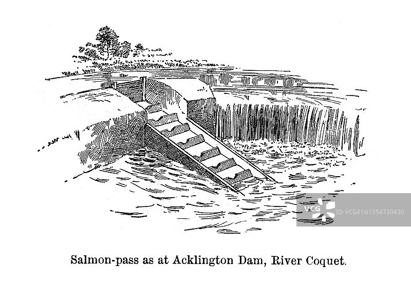 古老雕刻插图：养鱼业 - 阿克灵顿水坝鲑鱼通道，科凯河图片素材