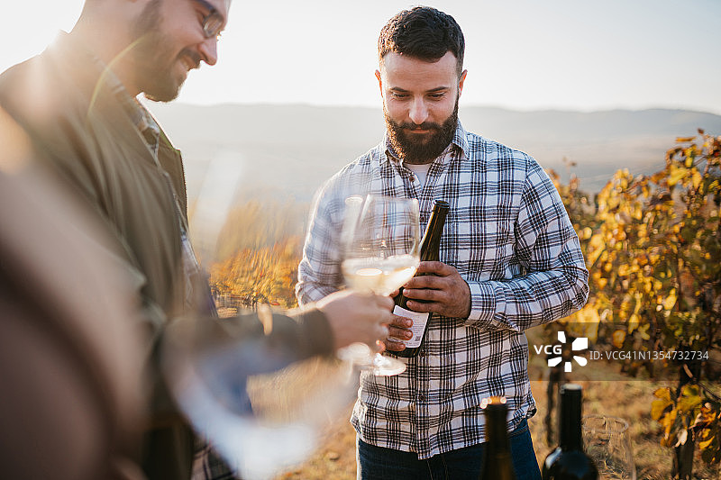 快乐的葡萄酒游客在葡萄园品酒图片素材