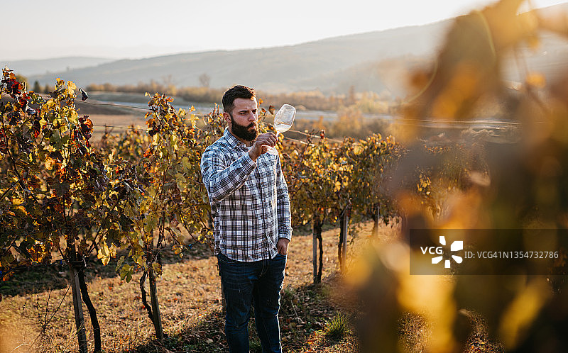 品酒师图片素材