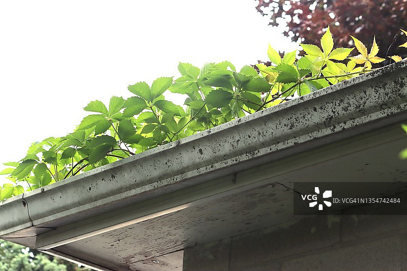 无人看管的雨水槽图片素材