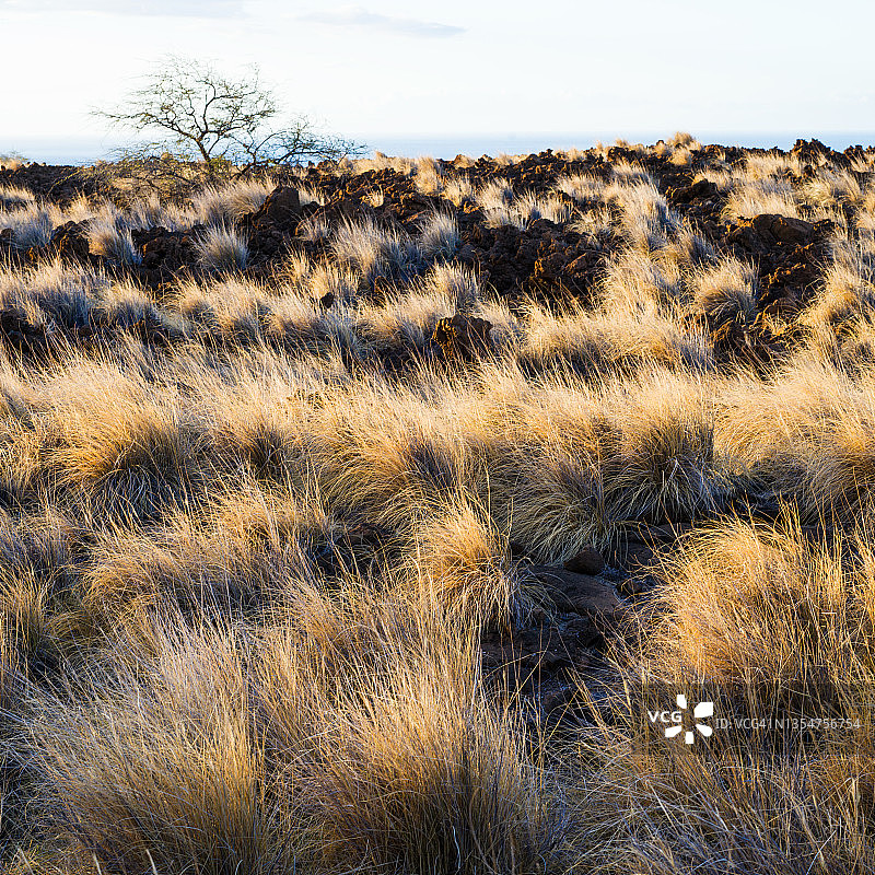 大岛熔岩平原图片素材