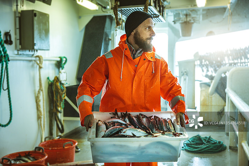 渔业：渔民搬运一箱鲜鱼图片素材