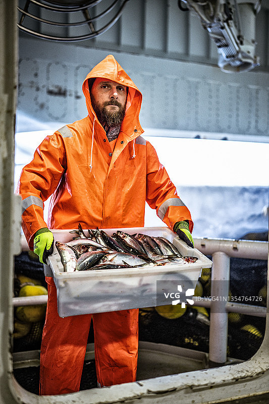 拖网渔船上带着新鲜鱼箱的渔民图片素材