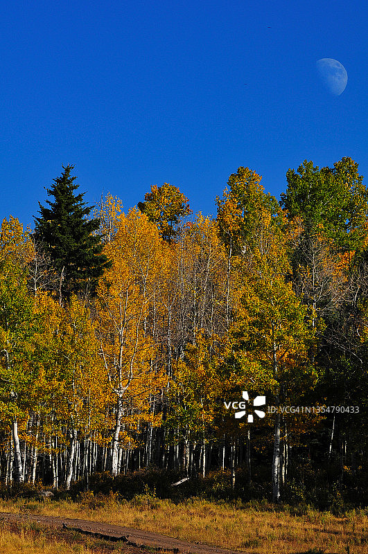 科罗拉多州圣胡安山脉的秋色与月亮图片素材