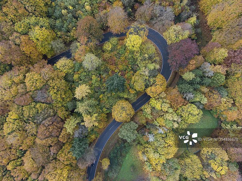 德国北莱茵-威斯特法伦州条顿堡森林秋季蜿蜒道路鸟瞰图片素材