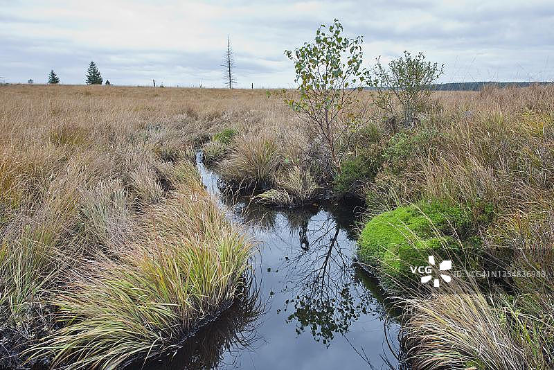 比利时高沼地的沟渠图片素材