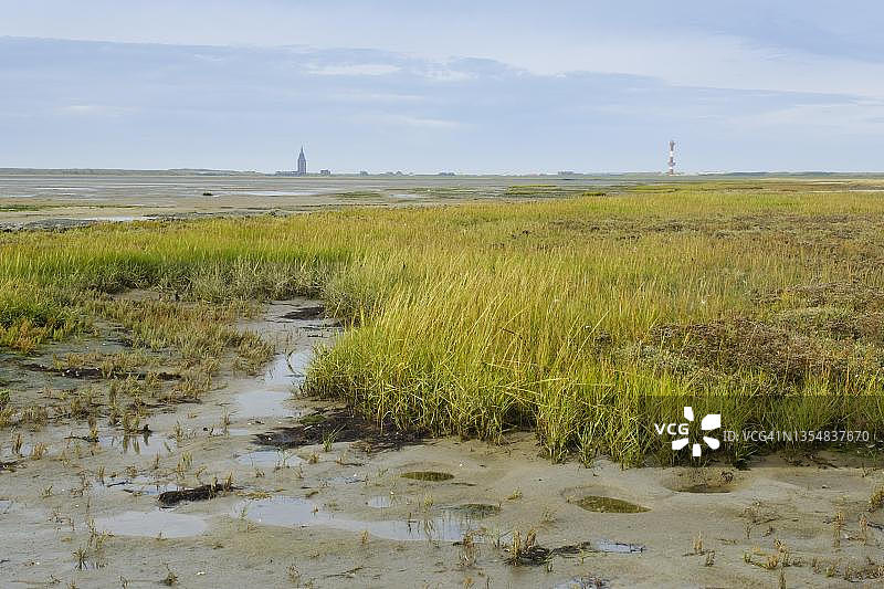 德国下萨克森瓦登海国家公园王格罗格岛北海沿岸盐沼图片素材