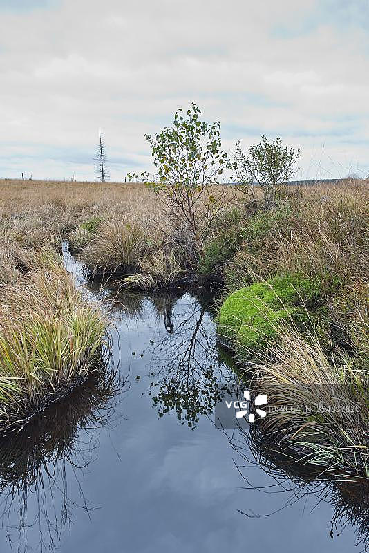 比利时高沼地的沟渠图片素材
