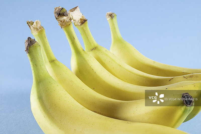 蓝色背景下的一串香蕉特写图片素材