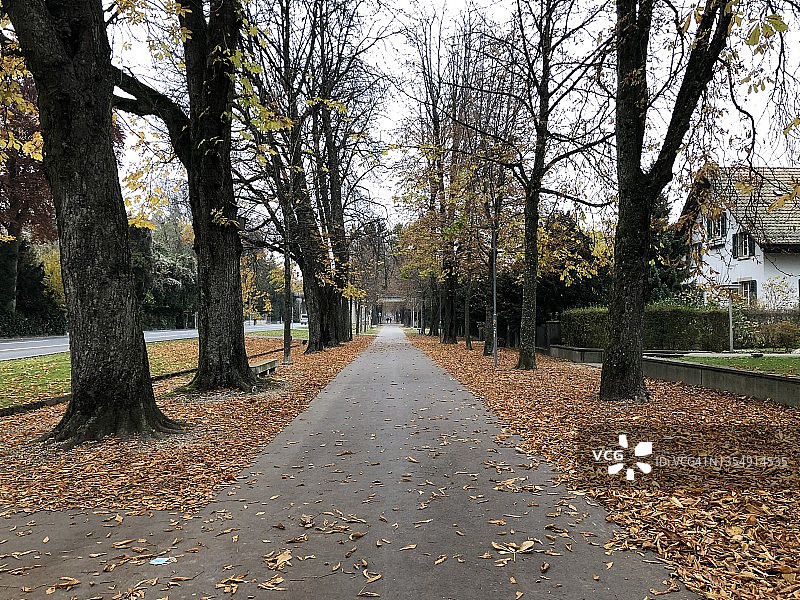 秋季比尔市中心街道的小路图片素材