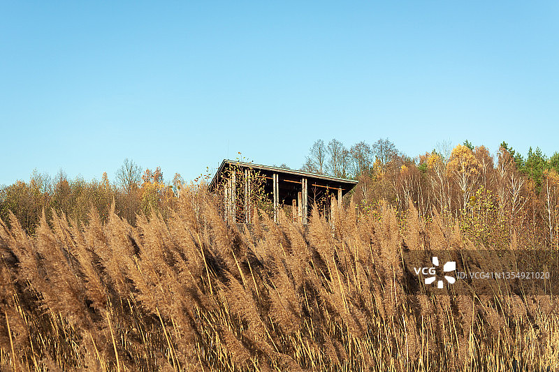 波兰坎皮诺斯国家公园观景塔图片素材