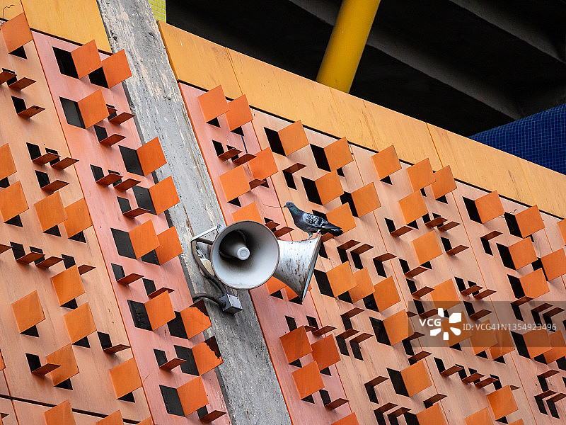 鸽子站在橙色天花板上的音箱图片素材