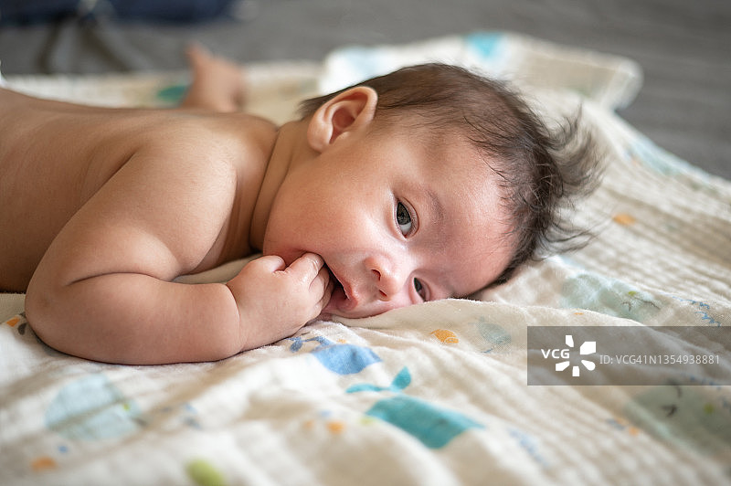 可爱的三月大新生男婴俯卧图片素材