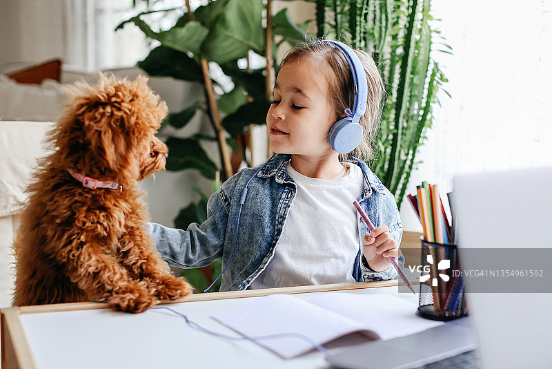 在家 дистанционное обучение: 老师远程教学，小狗相伴图片素材